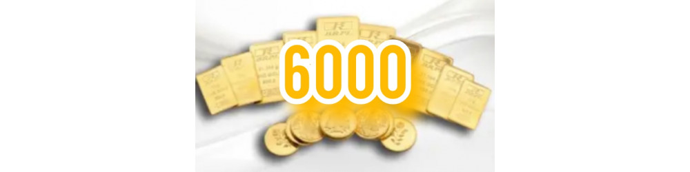6000 G20